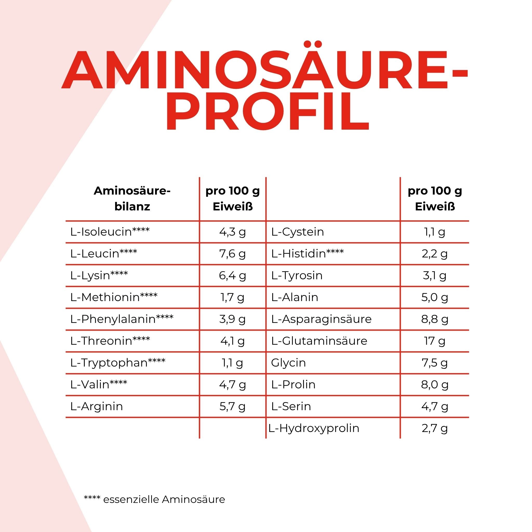 Aminosäurenprofil 5K Pulver Schoko