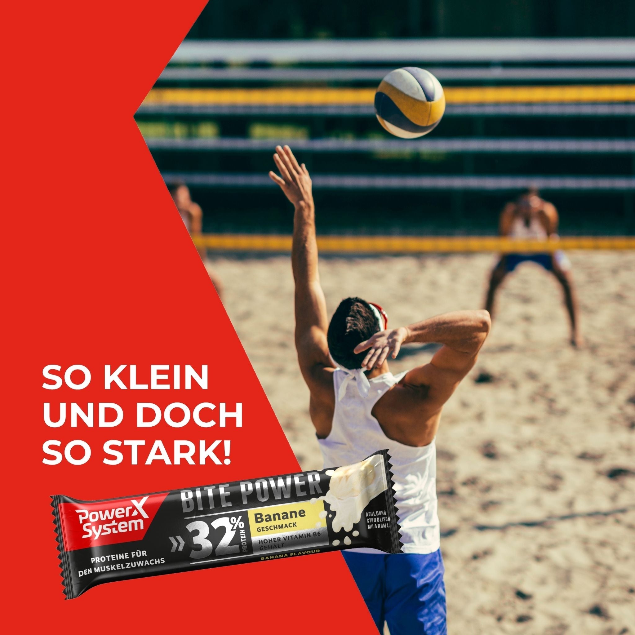 Bite Power so klein und doch so stark