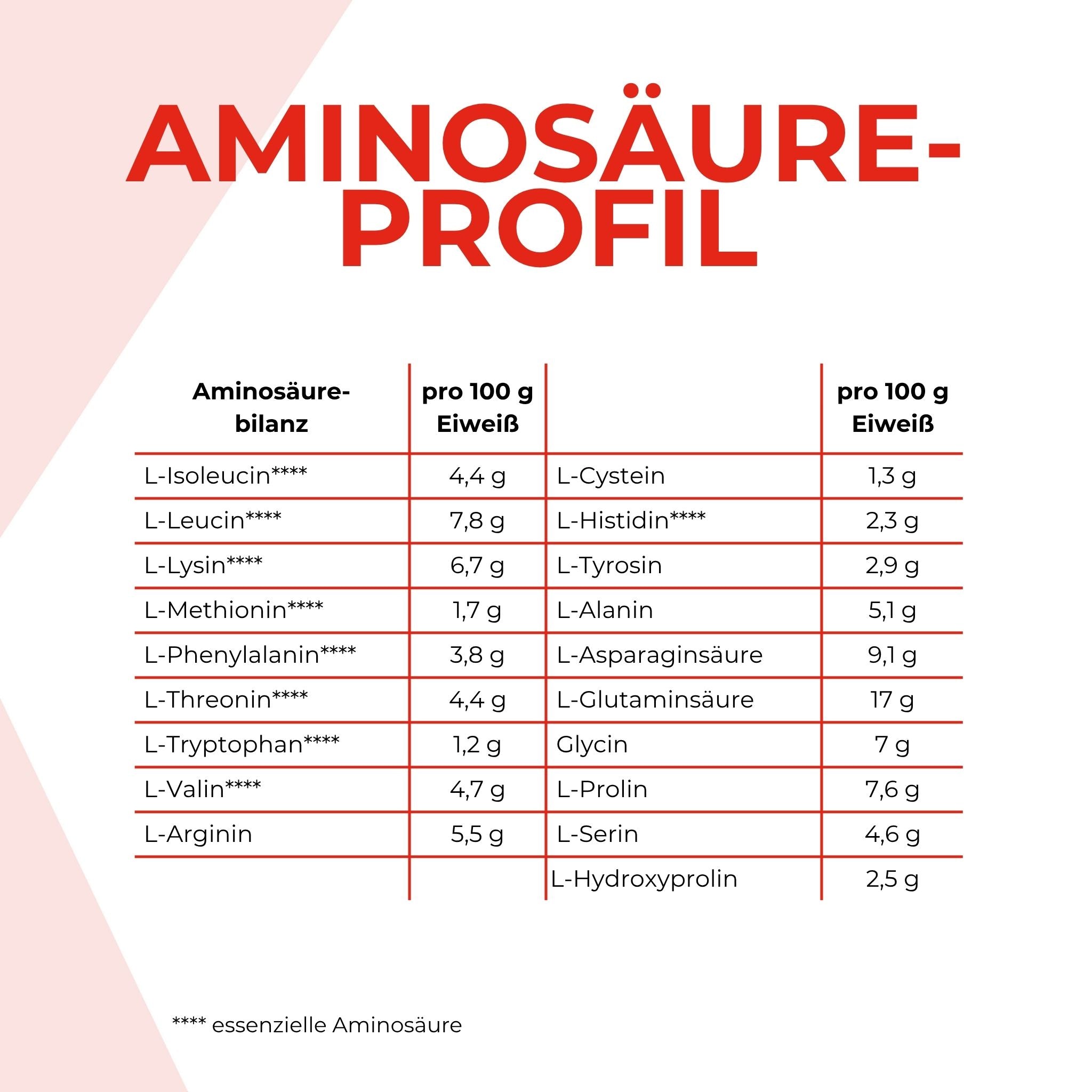 Aminosäurenprofil 5K Pulver Vanille