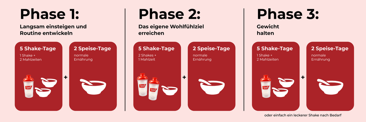 Auf einer Grafik werden die 3 Phasen vom Stoffwechsel-Shake Programm erklärt: Routine entwickeln, Wohlfühlziel erreichen, Gewicht halten